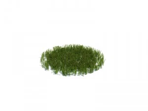 simple grass 3D Model
