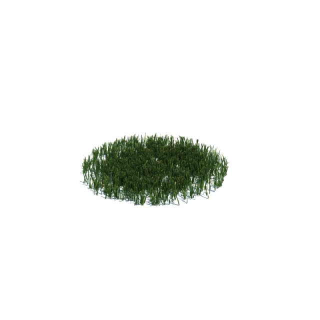 simple grass 3D Model .c4d .max .obj .3ds .fbx .stl .blend