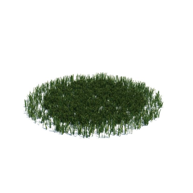 simple grass Modello 3D .c4d .max .obj .3ds .fbx .stl .blend