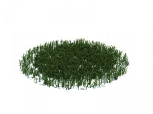 prosta trawa Model 3D