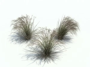 ковыль 3D Модель