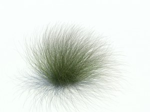 stipa tenuifolia Modelo 3D