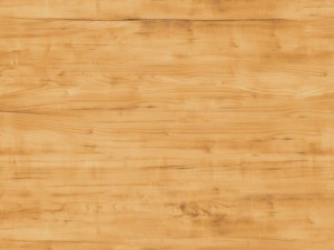 wood room 3Dモデル