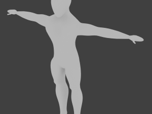 basic human mesh t pose 3D 模型