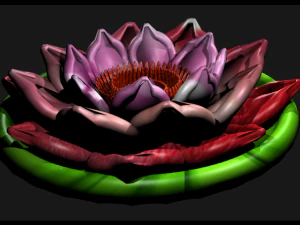 n&eacute;nuphar Modèle 3D