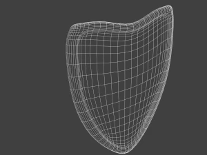 shield 3D Model