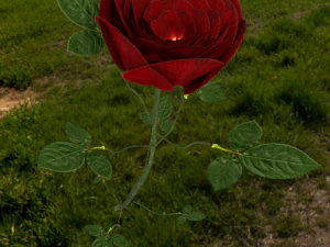 rose 3D Model