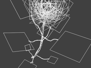 rose Modello 3D
