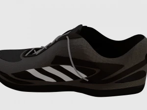 shoe 3D Model