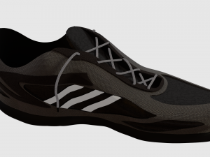 shoe 3D Model