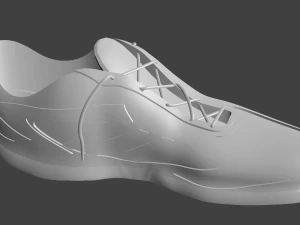 shoe 3D Model