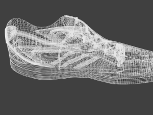 shoe 3D Model