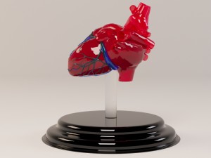 decorate heart 2 3D Model