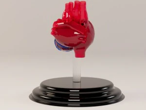 decorate heart 2 3D Model