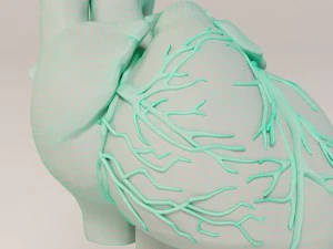 decorate heart 2 3D Model