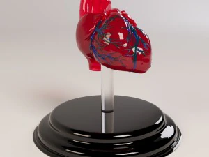 decorare il cuore 2 Modello 3D