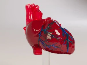 decorate heart 2 3D Model