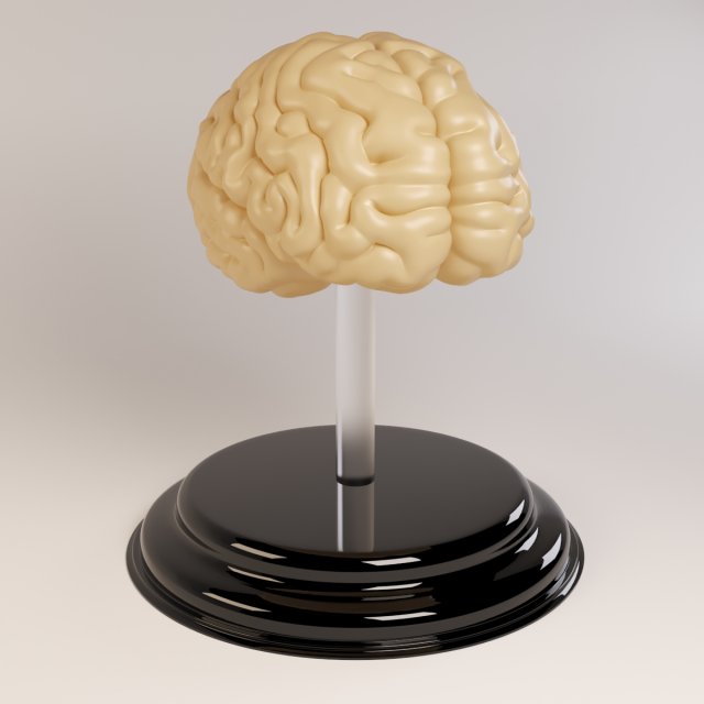 decorate brains Modèle 3D .c4d .max .obj .3ds .fbx .stl .blend 