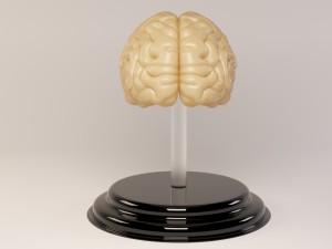 decorate brains Modèle 3D