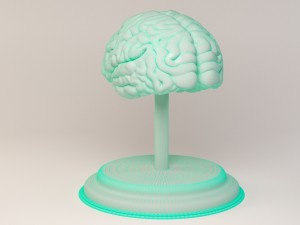 decorate brains Modèle 3D