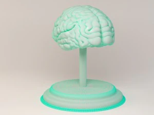 decorate brains 3D Model