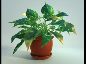 plante d'int&eacute;rieur en pot Modèle 3D