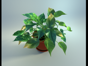 potted houseplant 3D Model