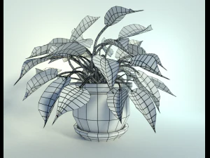 potted houseplant 3D Model