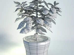 planta de manjeric&atilde;o em vaso Modelo 3D