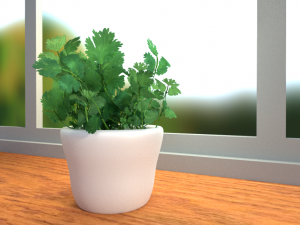 potted cilantro herb plant 3D Model
