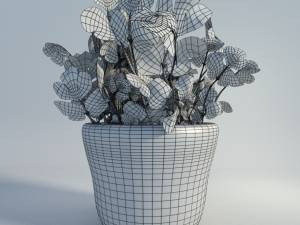 potted cilantro herb plant 3D Model