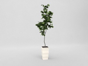 pot1 3D 모델