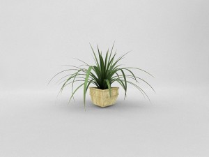 pot2 3D 모델