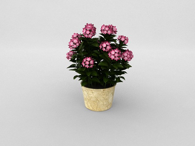 pot6 Model 3D .c4d .max .obj .3ds .fbx .stl .blend 