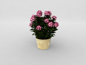 pot6 3D Model