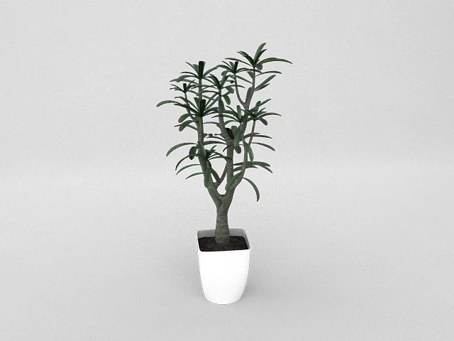 pot7 3D Model .c4d .max .obj .3ds .fbx .stl .blend