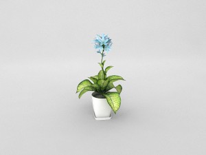 pot8 3D 모델