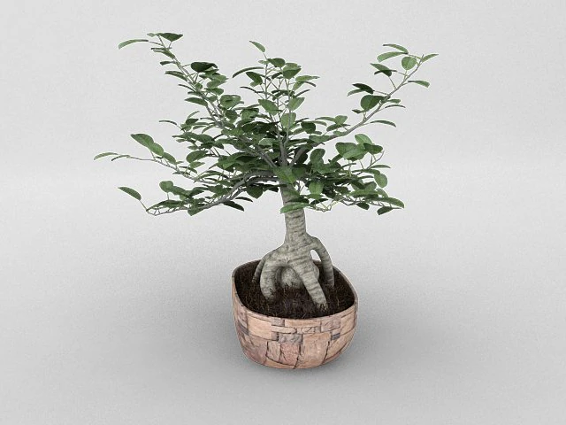 pot10 3D Model .c4d .max .obj .3ds .fbx .stl .blend 