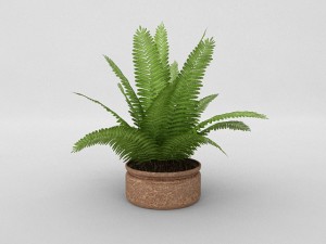 pot11 3D 모델