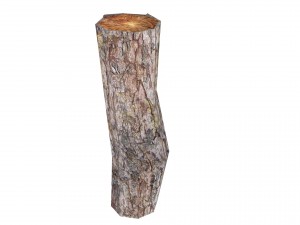 stump Modelo 3D