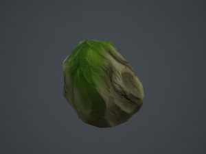 stone Modèle 3D