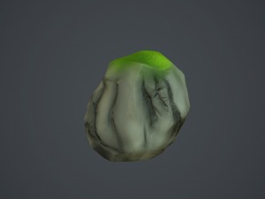 stone Modèle 3D