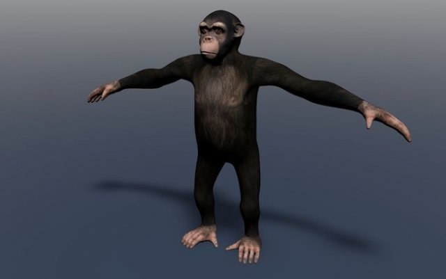 champanzee monkey Modèle 3D .c4d .max .obj .3ds .fbx .stl .blend 