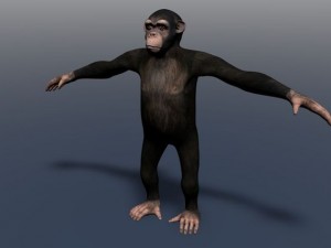 champanzee monkey 3D Model