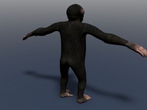 champanzee monkey Modèle 3D