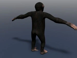 champanzee monkey 3D Model