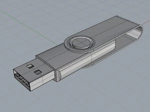 flash 3D Model