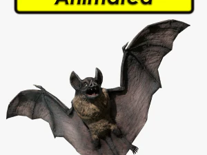 pipistrello oscuro vampiro Modello 3D