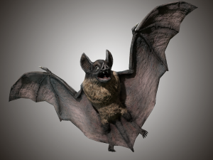 vampire dark bat Modello 3D