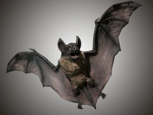 vampire dark bat 3D Model